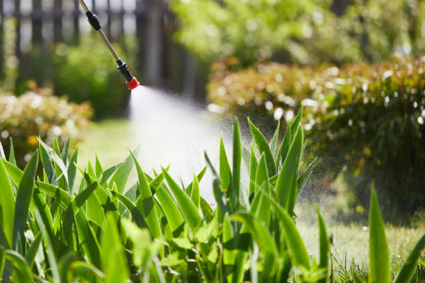24/7 Emergency Wasp Removal experts in Monfort Heights, OH