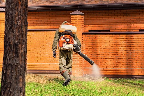 Top rated local Wasp Removal specialists in Monfort Heights, OH